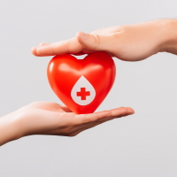 20 апреля – День донора крови: какие гарантии предусмотрены в ТК РФ